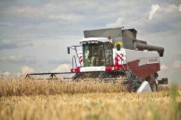 Томскстат подвел итоги производства сельхозпродукции в 2021 году
